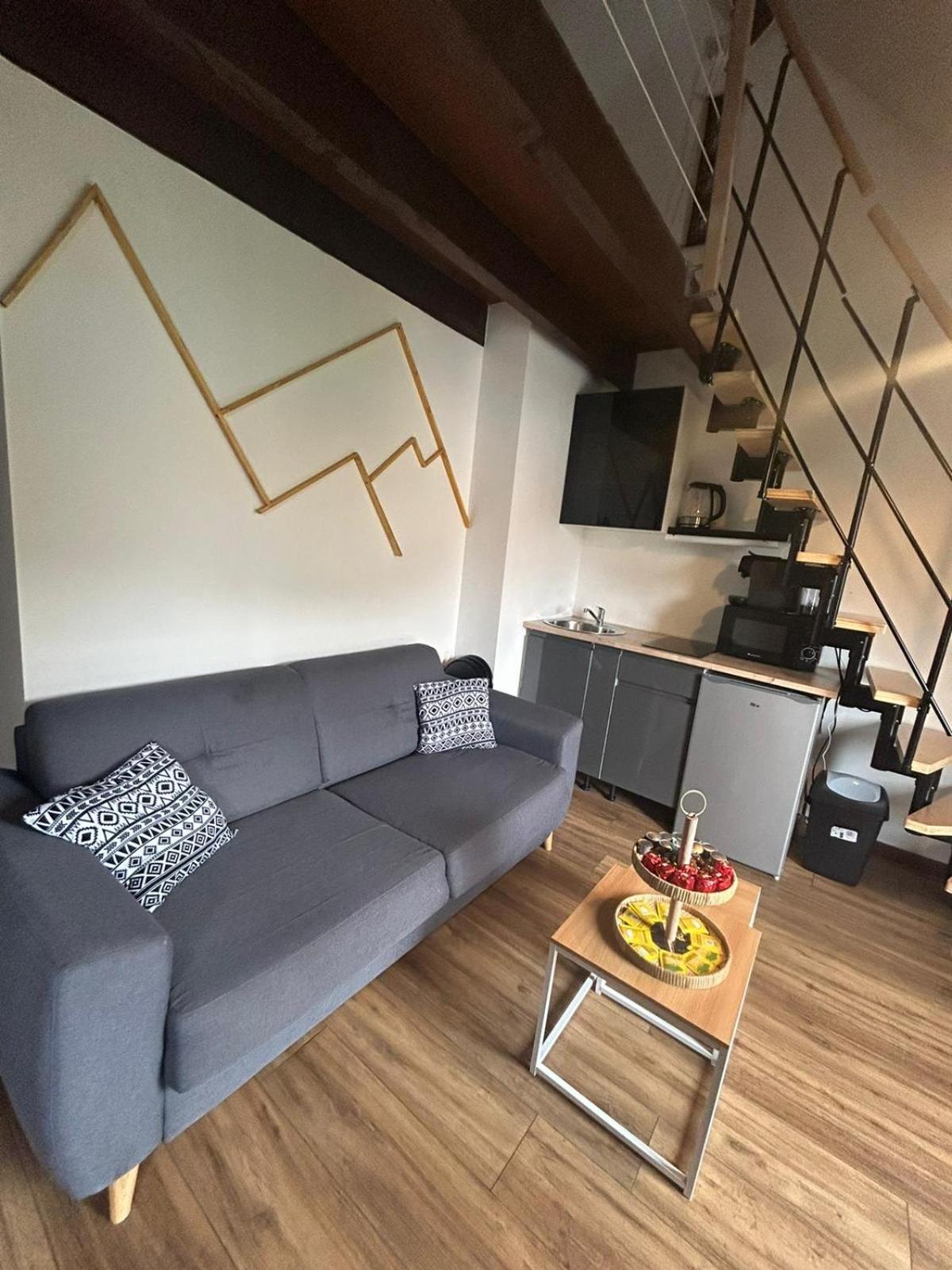 Reve Divin T4 Avec Parking-Barbecue-Laverie-Bagagerie-Salle De Sport-Aire De Jeux-Climatise Lourdes Exteriör bild